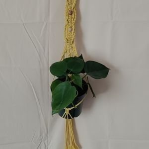 Small macrame plant hangar